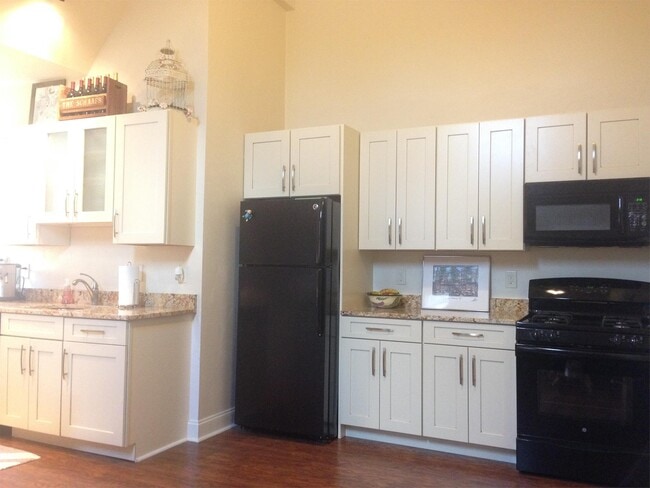 Photo - Baum 5519