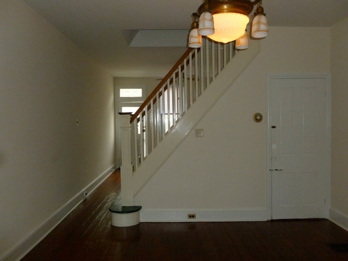 main staircase - 135 Dawson St