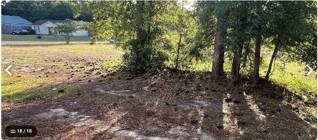 Photo - 223 Ayers Ct