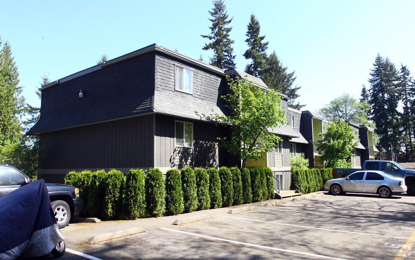 The Woodlynn - The Woodlynn