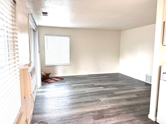 Photo - FULLY REMODELED * 1 BED / 1 BATH Unit 166