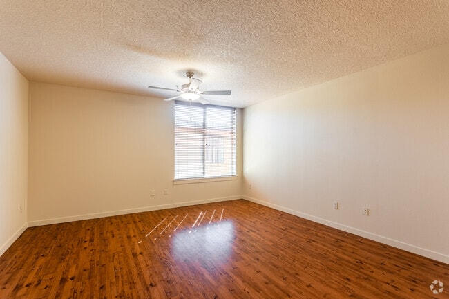 Studio, 1BA - 451 SF (Savier)