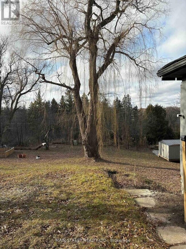 Photo - 493 College St