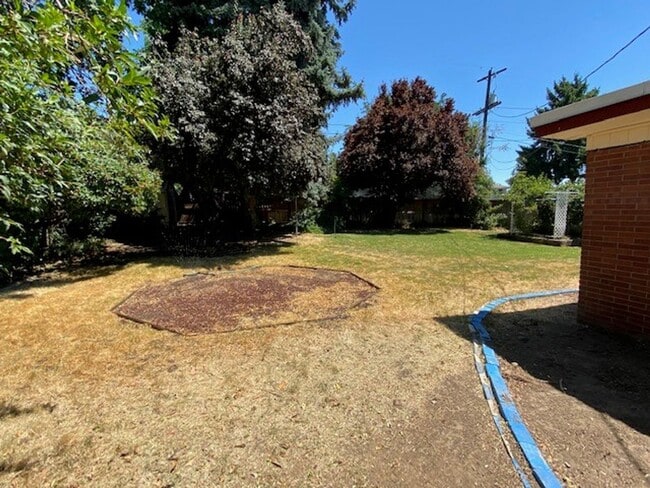 Photo - 205 S 46th Ave