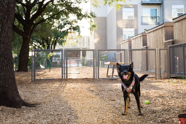 Photo - Gallery at The Domain