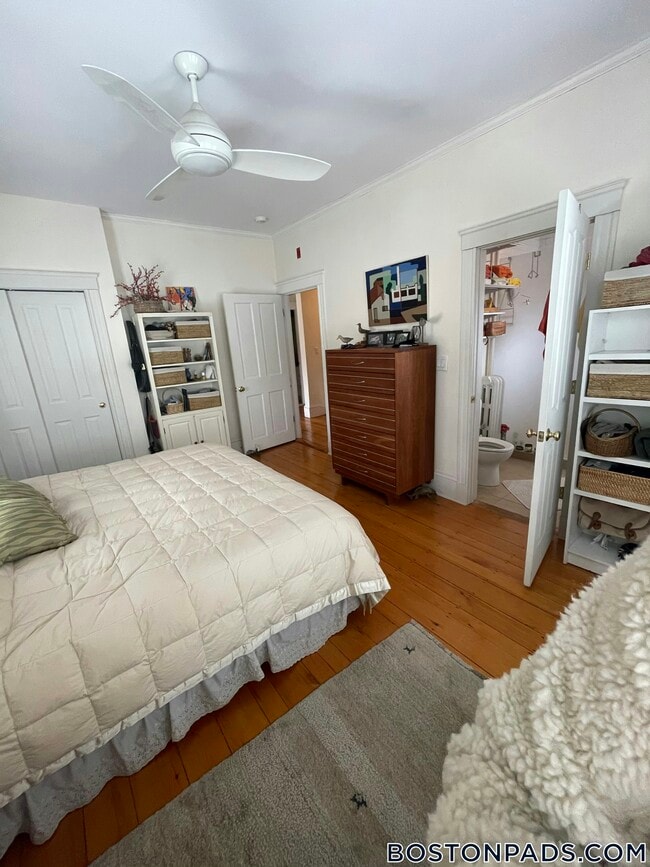 Photo - 30 Healey St