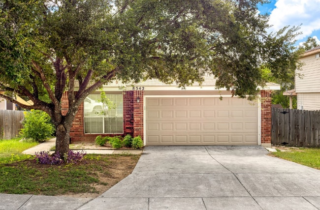 Photo - 8342 Shooting Quail