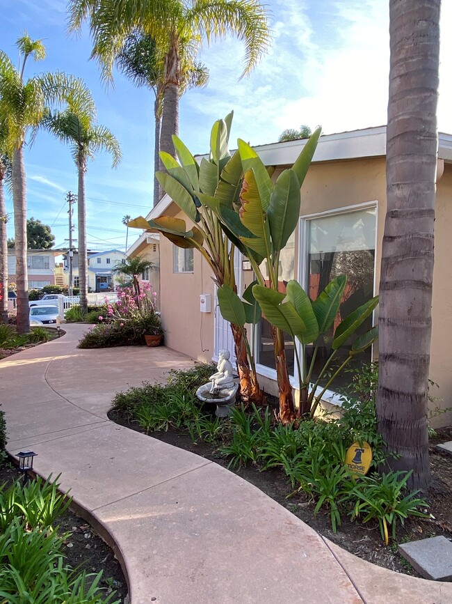 Front entrance and walkway with parking area in distance - 1976 Missouri St Unidad 1976 Rental