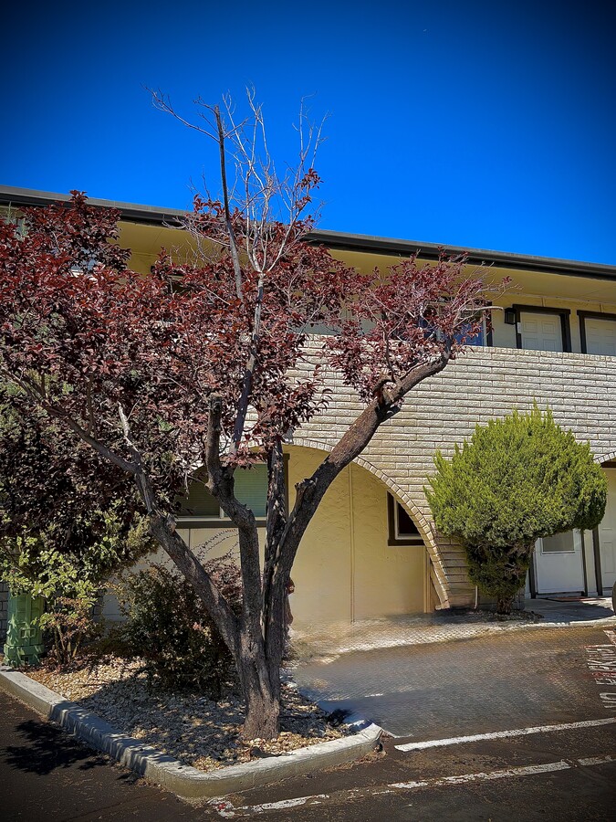 Photo - Sierra Madre Apartments
