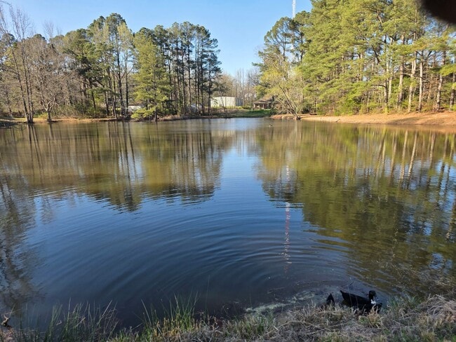 Photo - 109 Stanford Cir