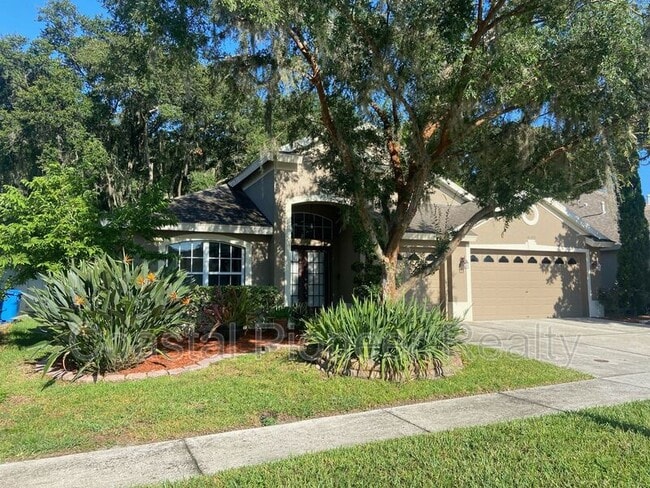 Photo - 10542 San Travaso Dr