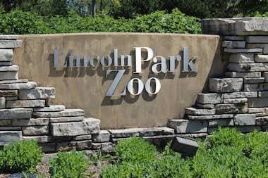 Photo - 1636 N Wells St Unit 1805