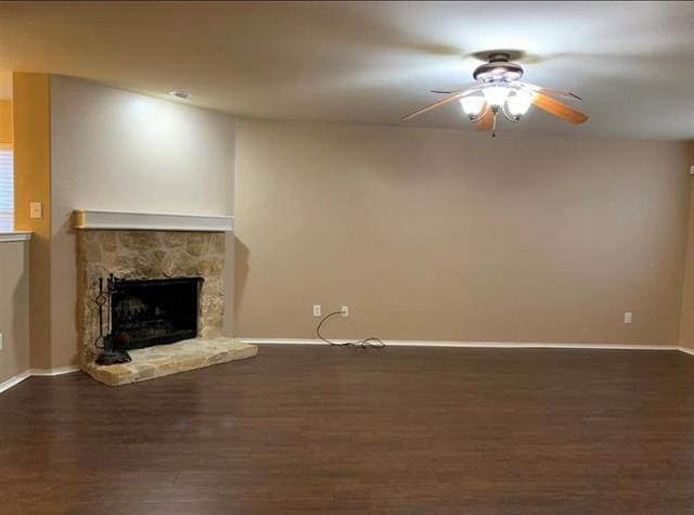 Photo - 510 Indian Paintbrush