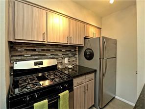 Newly Remodeled Kitchen - 1202 Newning Ave Unit Apartment Travis Heights