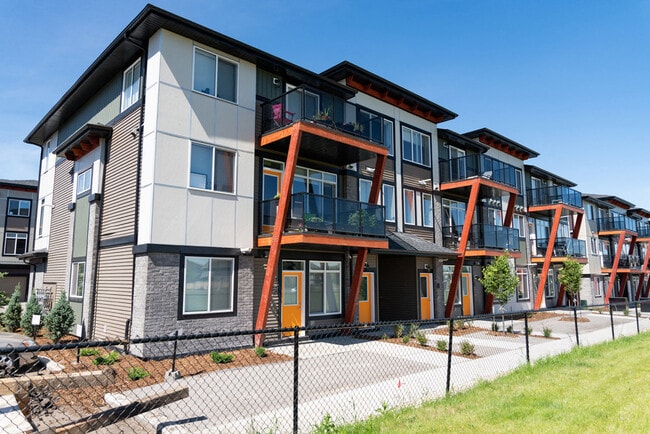 Photo - Essential Aurora