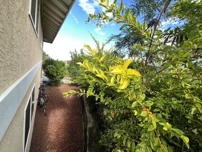 Waikoloa 1BR Apartment | Flexible 6-Month Lease | Utilities + Amenities Included