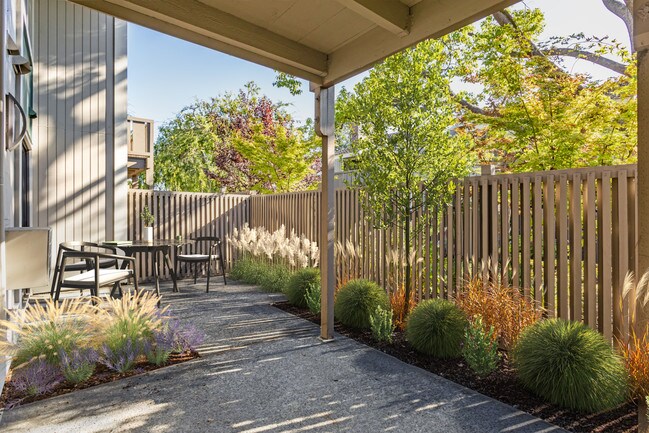 Large Outdoor Patio