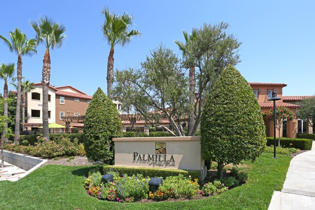 Building Photo - Palmilla Apartment Homes