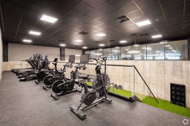 Gimnasia - 201 Newark Pompton Turnpike