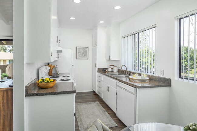 Plan B 1BR, 1BA - 690SF - Kitchen