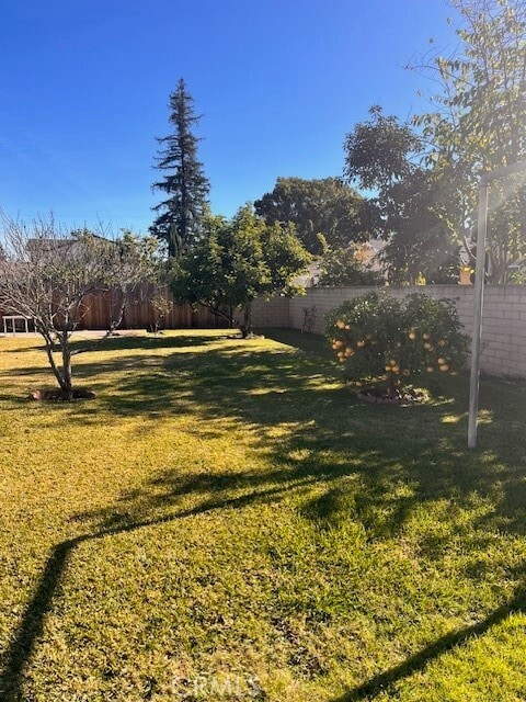 Photo - 1054 Mayflower Ave