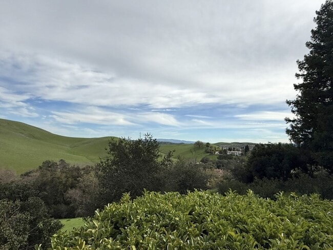 Photo - Beautiful custom one story estate located on one of the most desirable streets in Blackhawk Count...