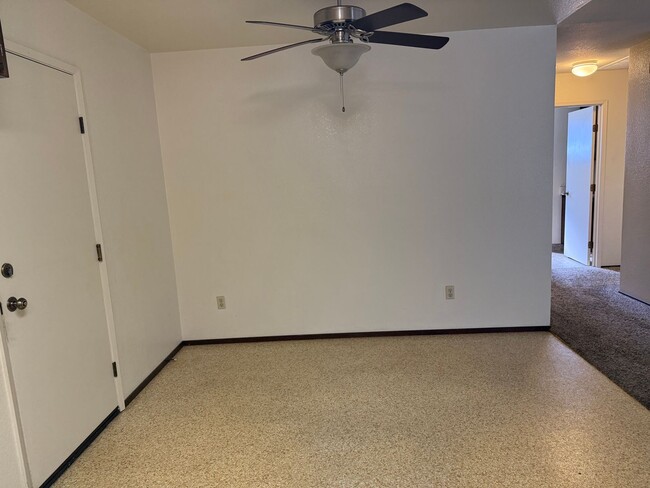 Photo - Holly Unidad Holly