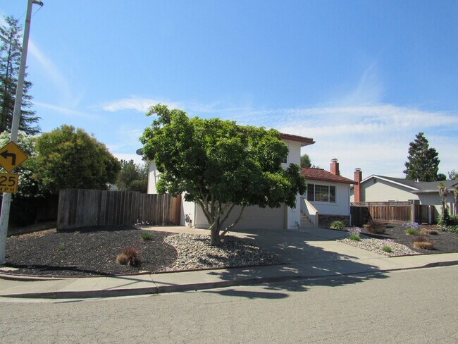 Beautiful 4 Bed, 2.5 Bath Home in Perfect San Ramon Location