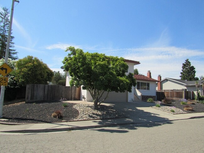 Photo - Beautiful 4 Bed, 2.5 Bath Home in Perfect San Ramon Location
