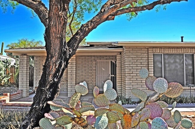 4741 W Red Wolf Dr