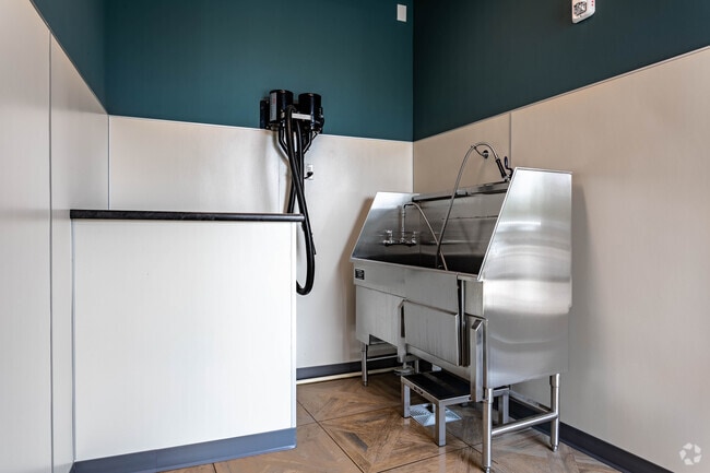 Pet Wash Station