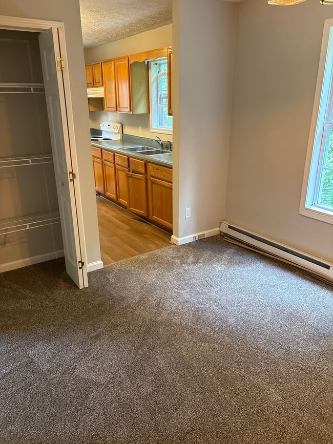 Photo - Newly Remodeled 3 Bedroom in East Asheville