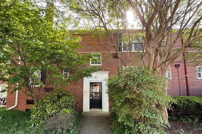 Photo - 230 N George Mason Dr