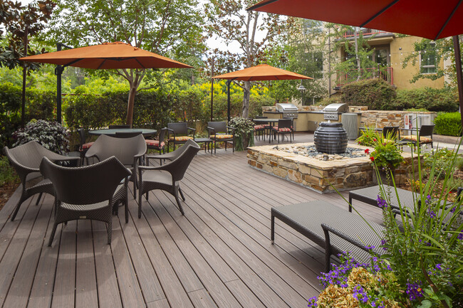 Jardín - Serrano Luxury Homes and Garden