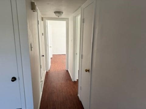 305 Lampe St