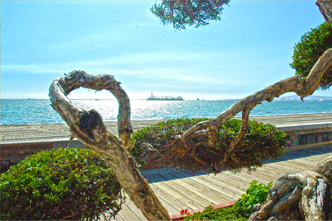 Photo - 15 64th Pl Unidad Upstairs Beach Suite