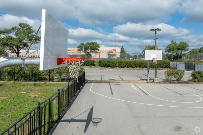 Basketball Hoops
