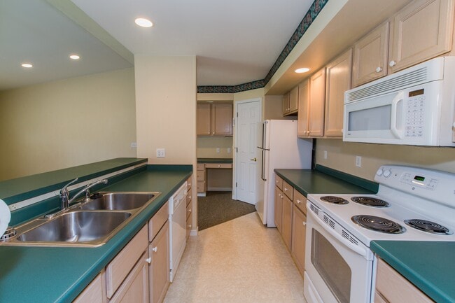 Photo - Whitetail Run