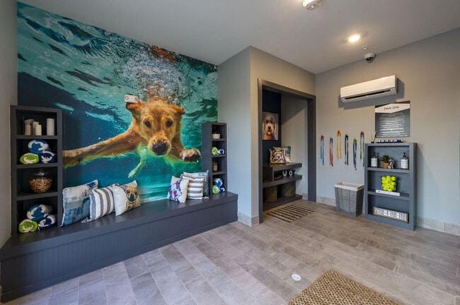 Pet Area