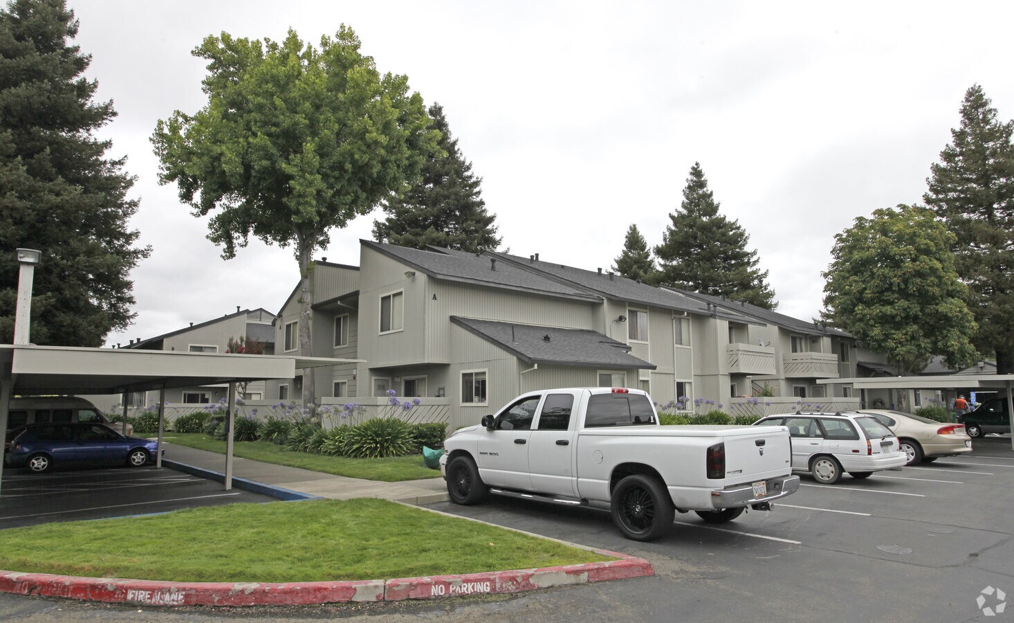 Photo - Walnut Grove Apartments