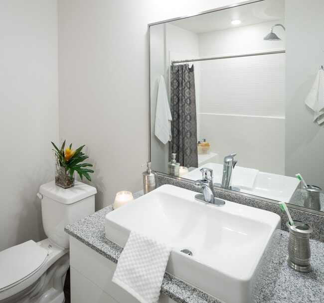 Park West Apartments For Rent in College Station, TX