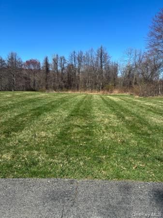 Photo - 95 Lexington Dr