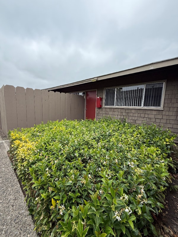 Building Photo - 1330 Byron Dr Rental