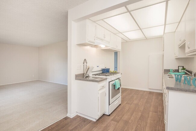 Hampshire Square Apartment Homes