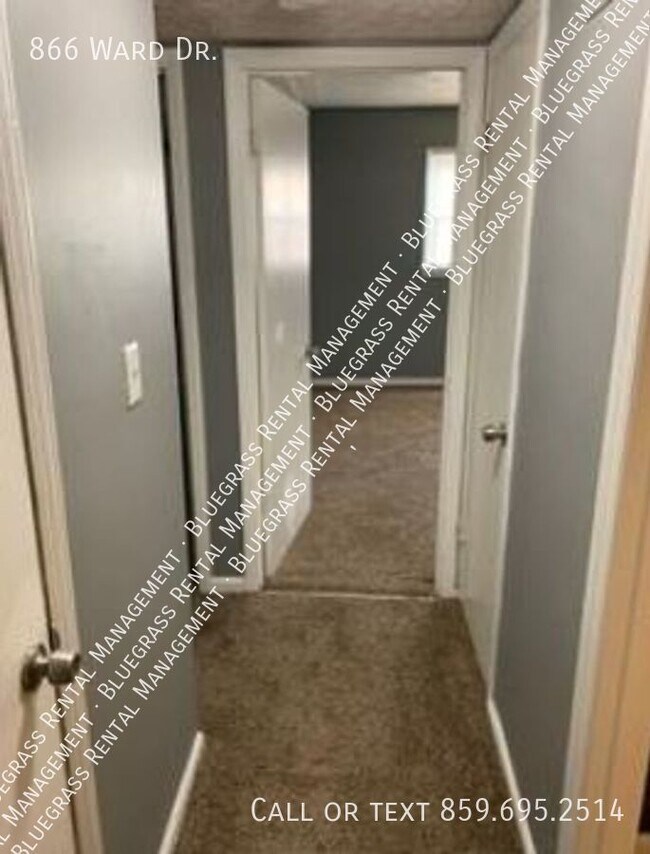 Stunning 2 bed 1 bath home in North Lexington Rental House Rental in