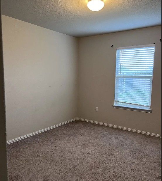 135 Smokebush Trail