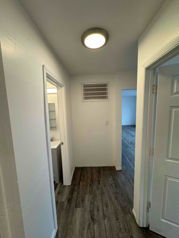 Photo - 1502 Hirzel St Unidad B