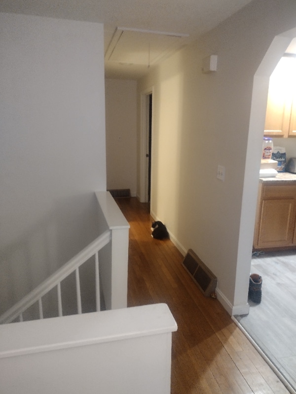 Photo - 6 Norwich Rd