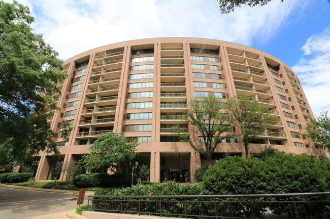 Classy 1/1 Convenience in Crystal City - Classy 1/1 Convenience in Crystal City Condo Unit 204S