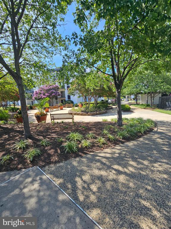 Photo - 16 S Van Dorn St Unit 201